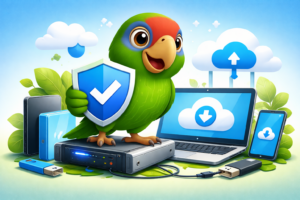 Dia Mundial da Cópia de Segurança (o Backup): Fazer cópias de segurança não pode esperar